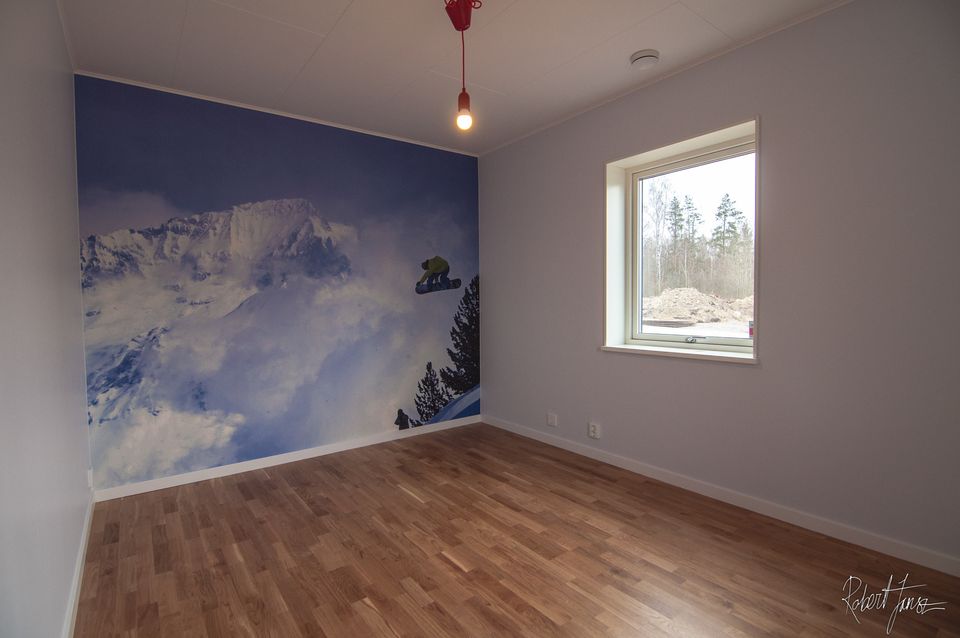 Webkings new office with photowallpaper