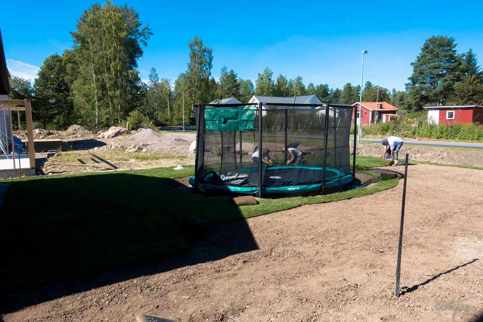 Lawn being rolled out around the trampoline