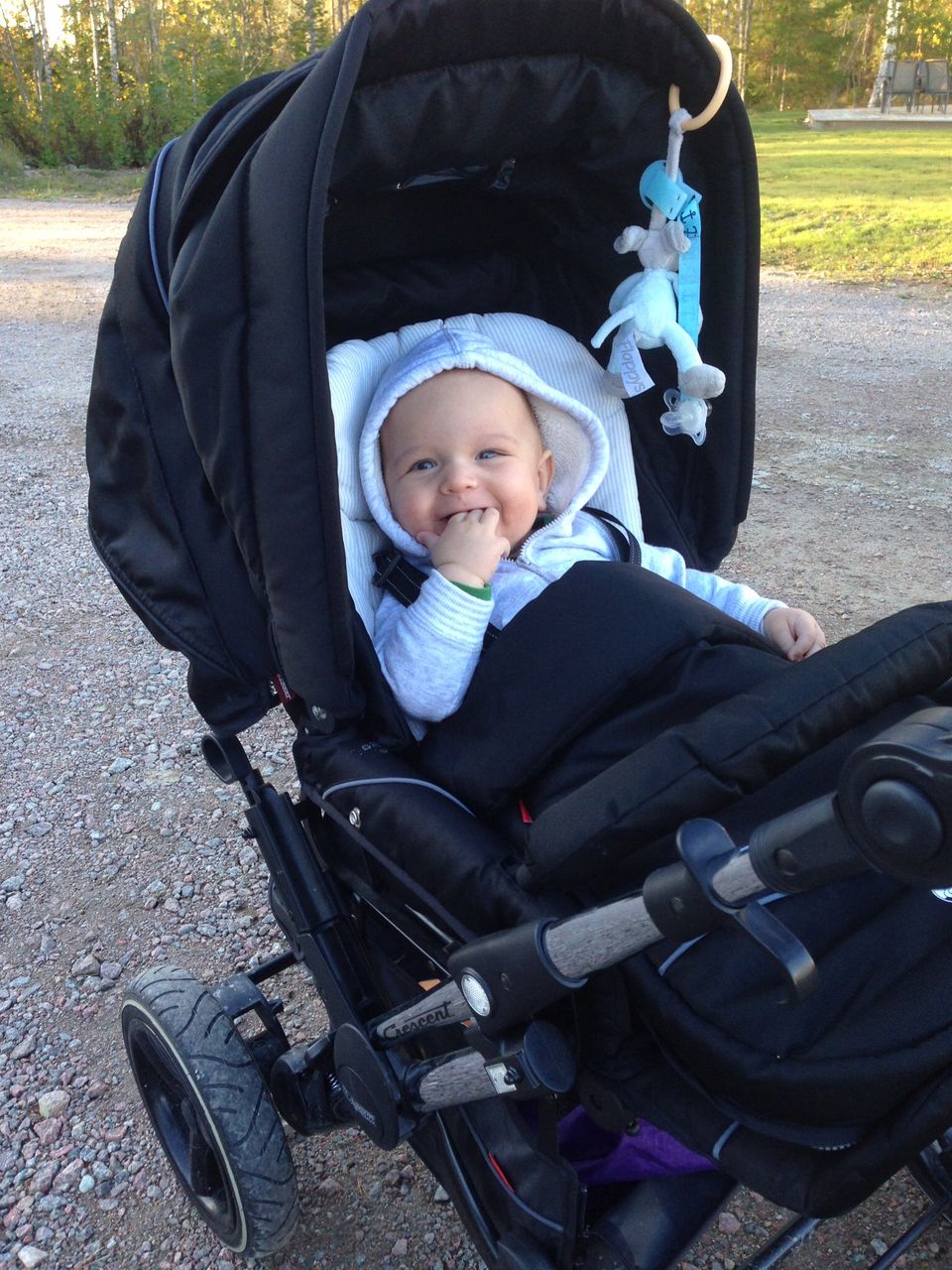 Henry Jansz 4 Months