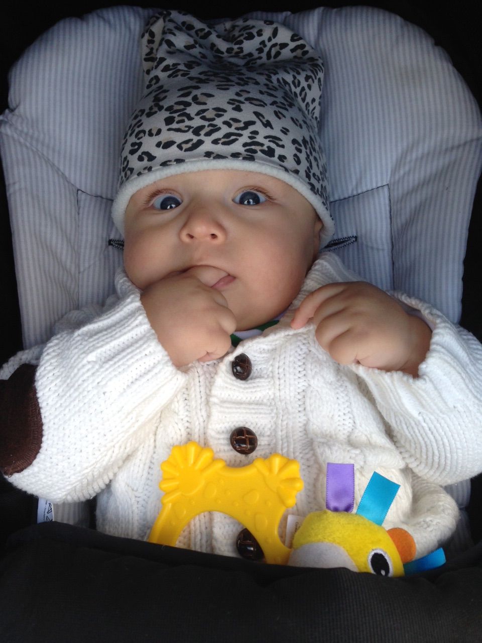 Henry Jansz 4 Months