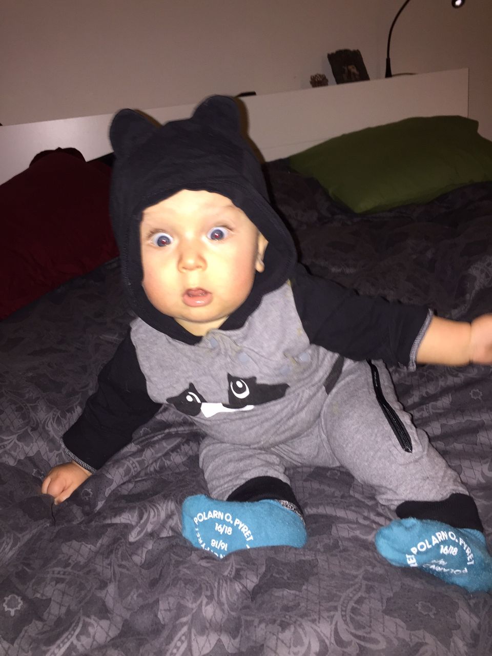 Henry Jansz 8 Months